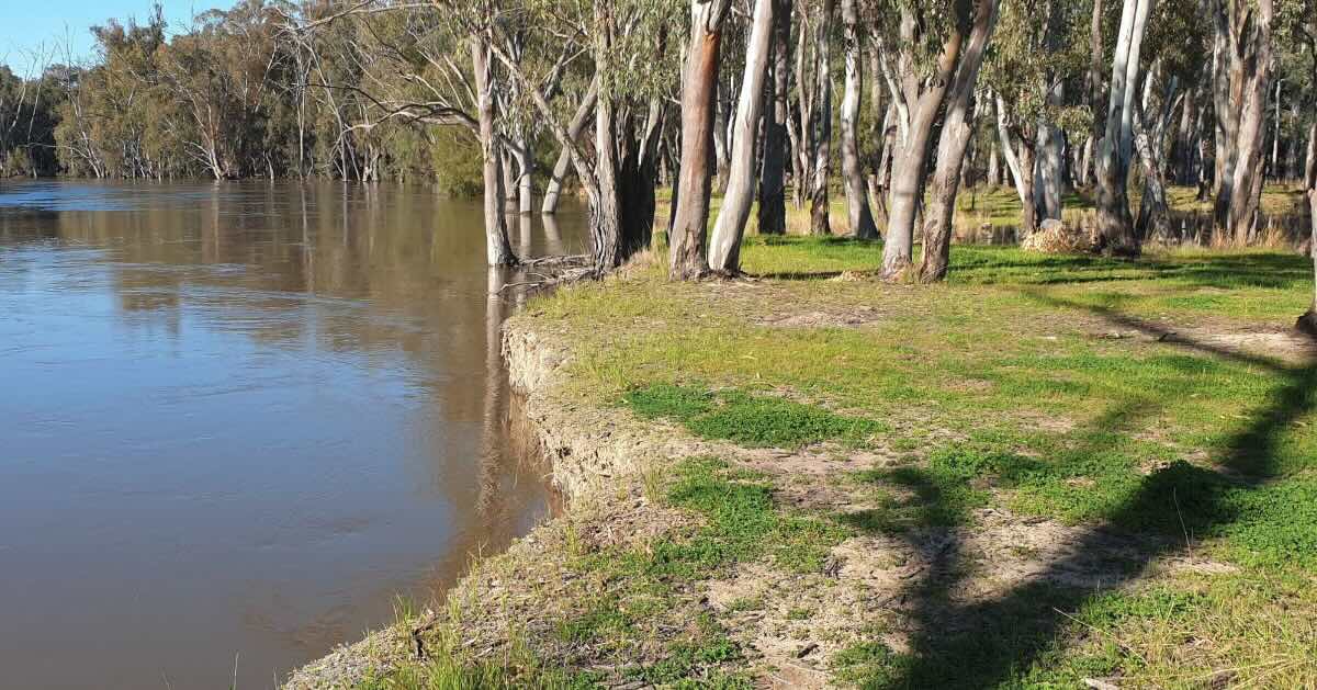 Wooloondool campground