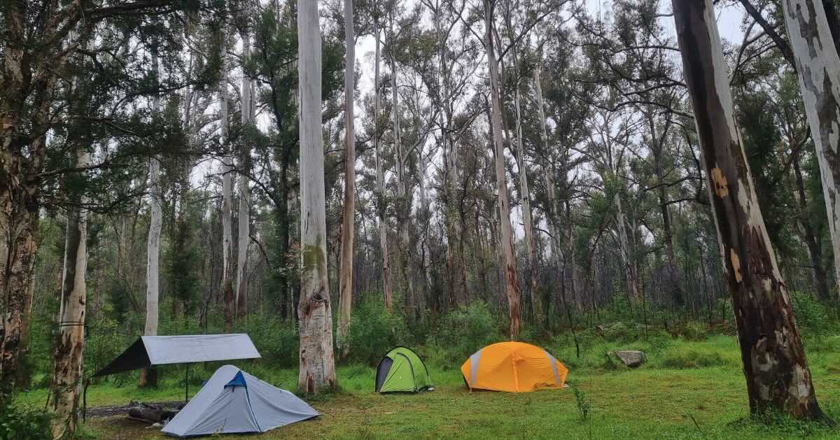 Acacia Flat Campground – Blue Gum Forest, Blue Mountains