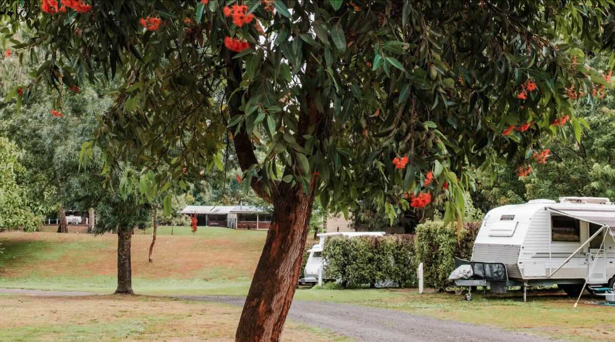 BIG4 Breeze Holiday Parks - Eildon