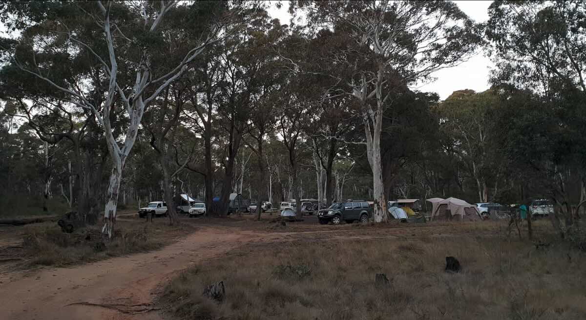 Barcoo Swamp Campground
