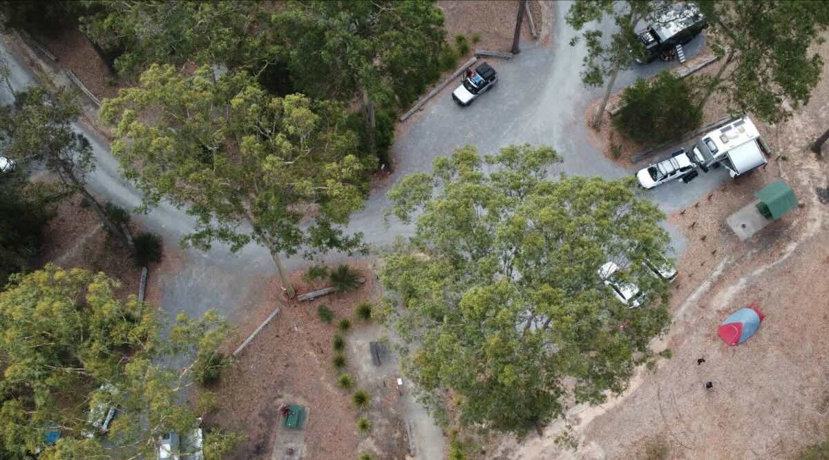 Bodalla Forest Rest Area, Princes Highway