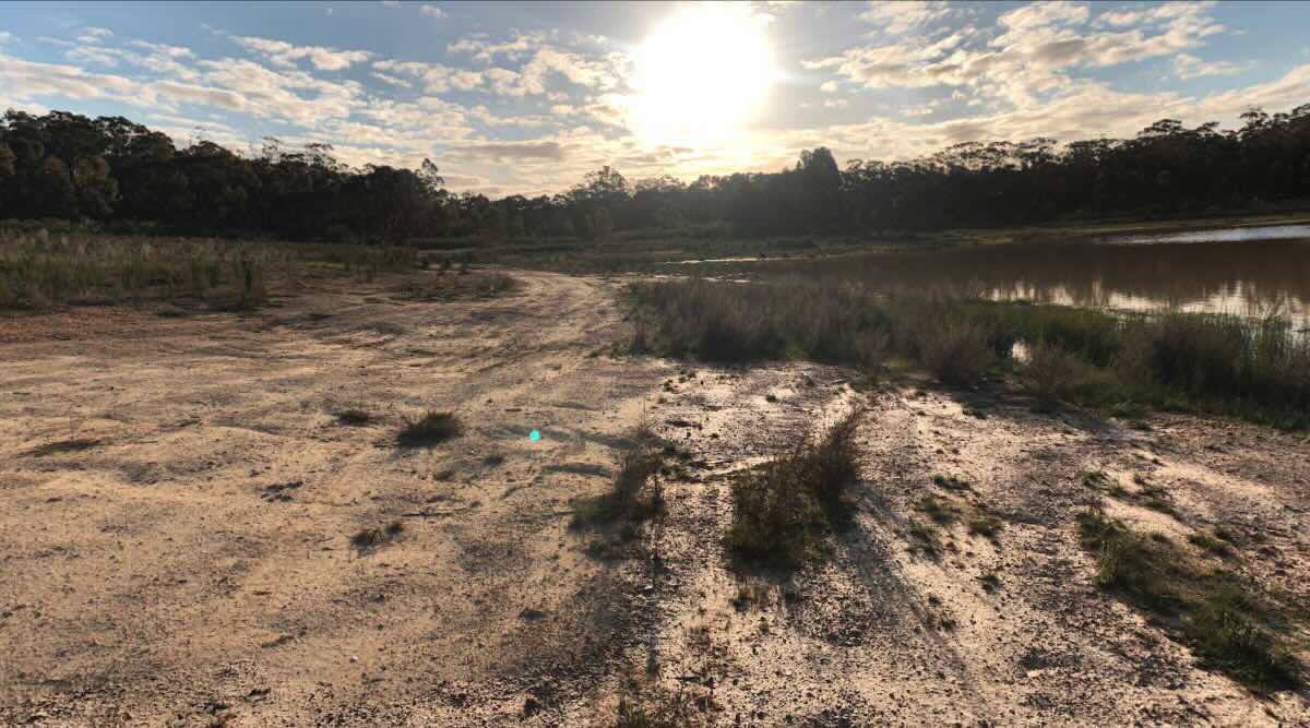 Carisbrook Reservoir