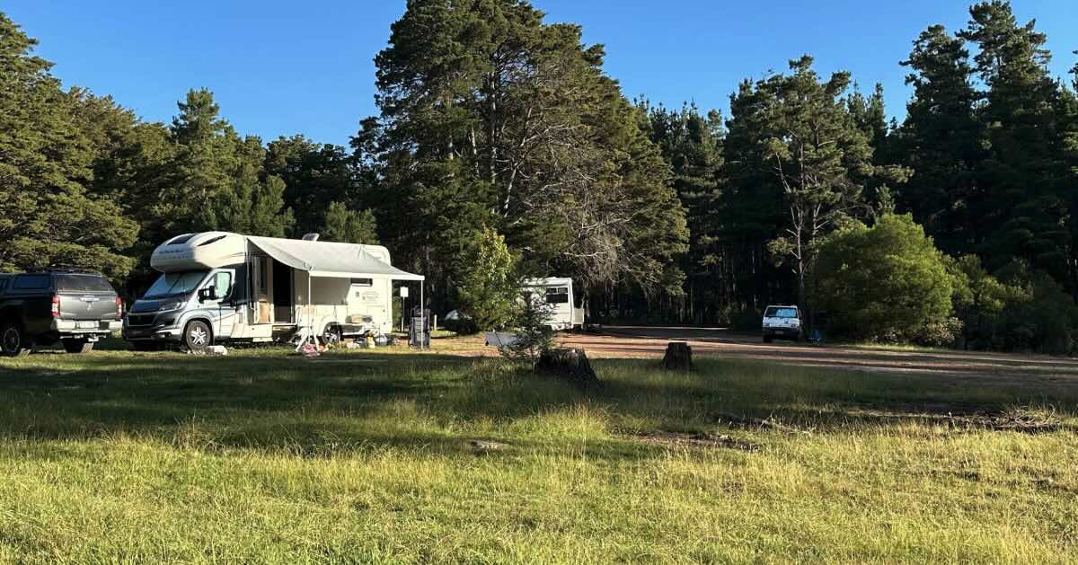 Daly's Clearing Camping Area