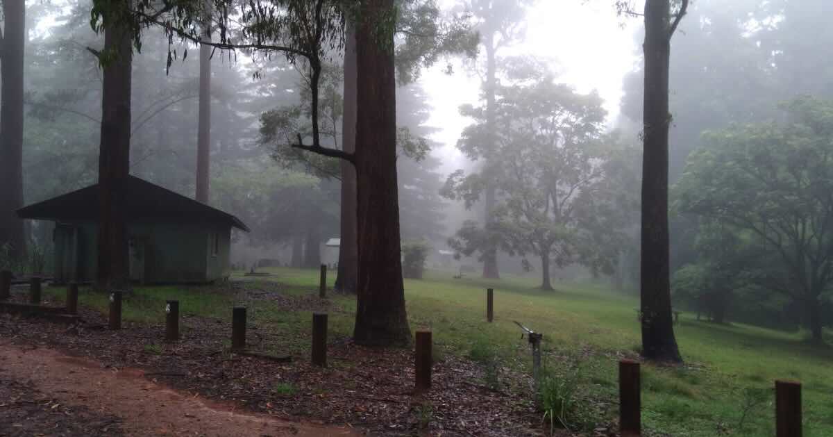 Dingo Tops campground