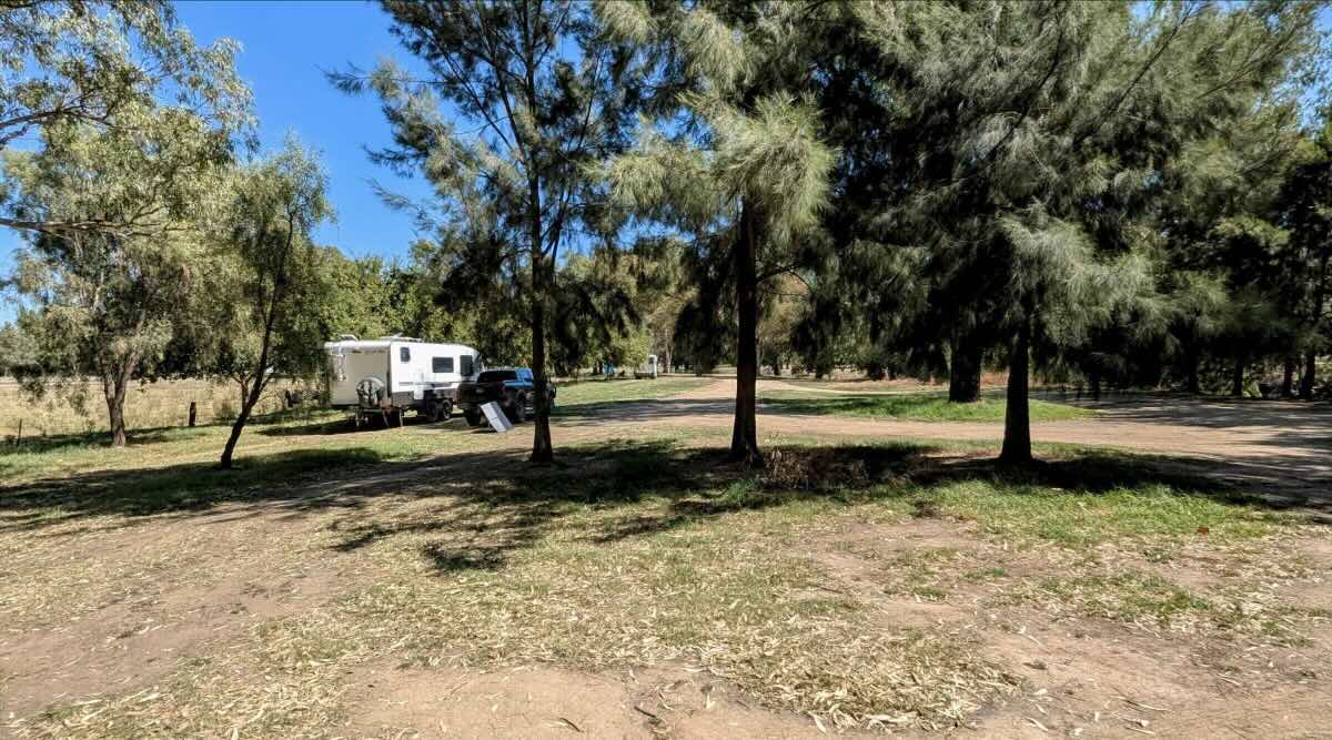 Grenfell Free Camping – Henry Lawson & Historic Gold Rush Town