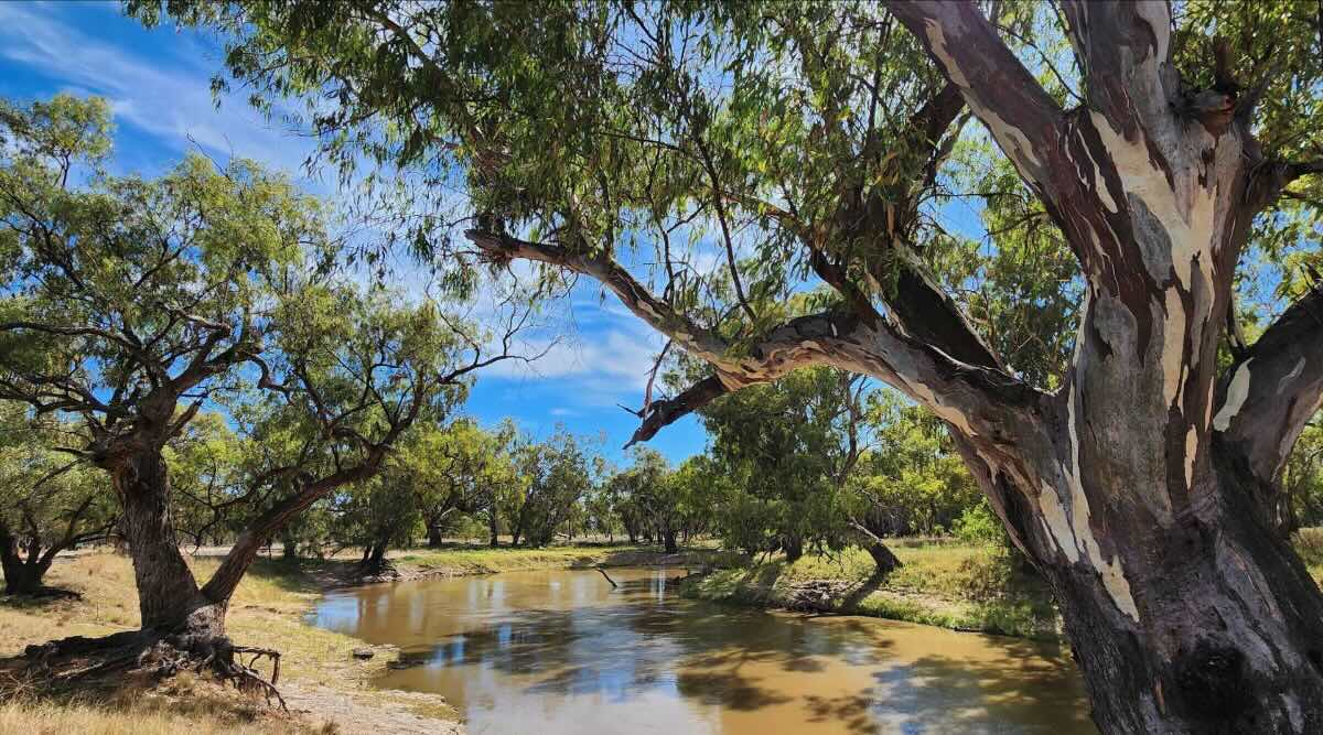 Kidman Way Wallanthery Rest Area, Wallanthery NSW
