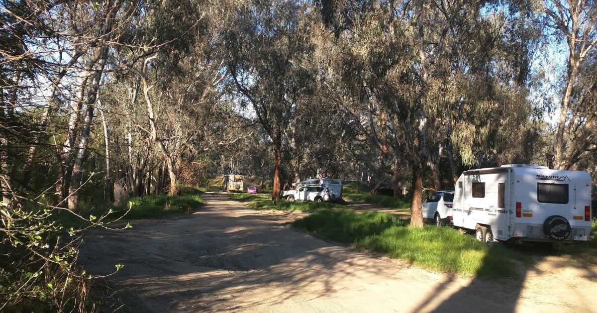 Lions Riverside Park Free Camp, Howlong NSW – Murray River Camping