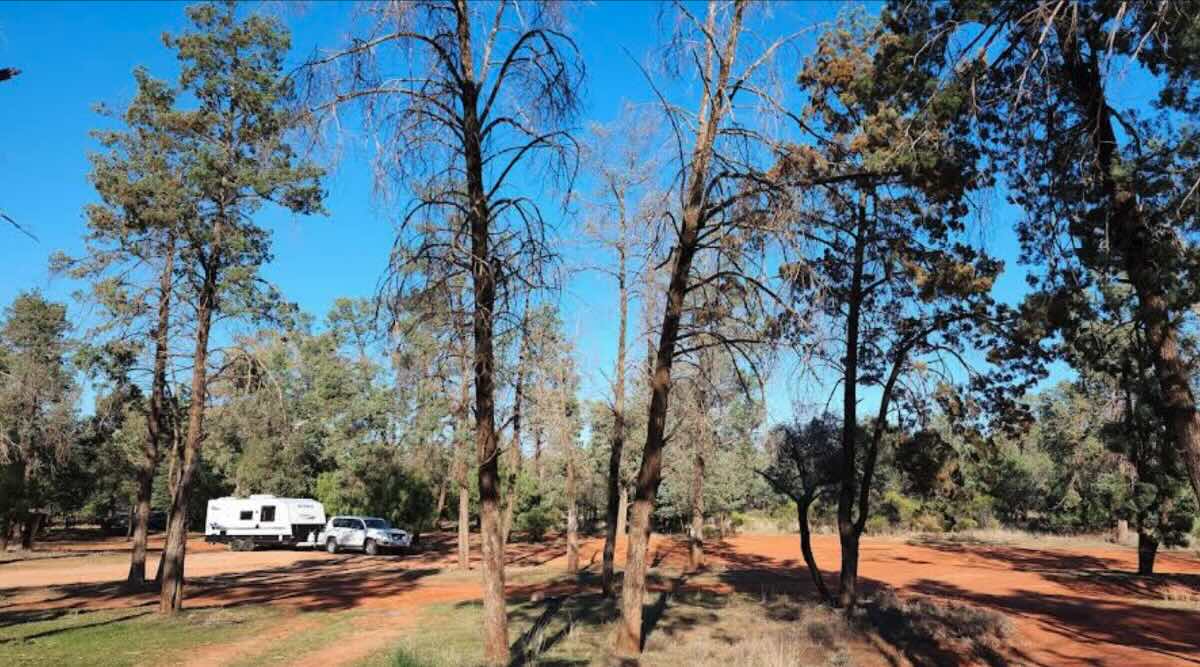 Meadow Glen Rest Area