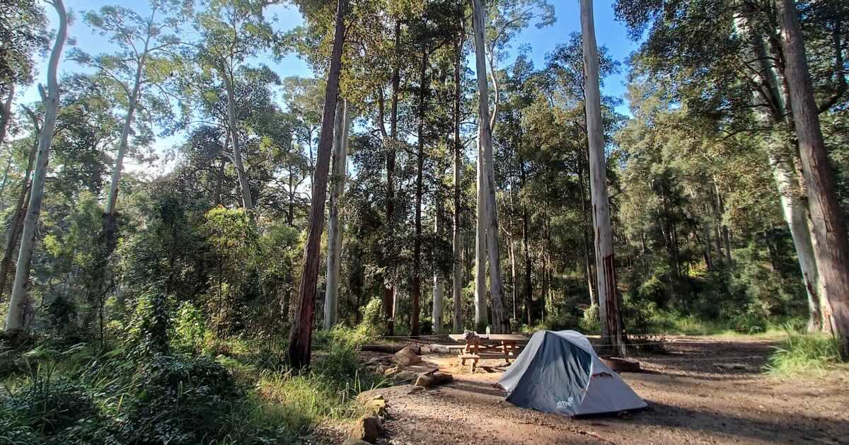 Murphys Glen Campground – 4WD Camping Blue Mountains