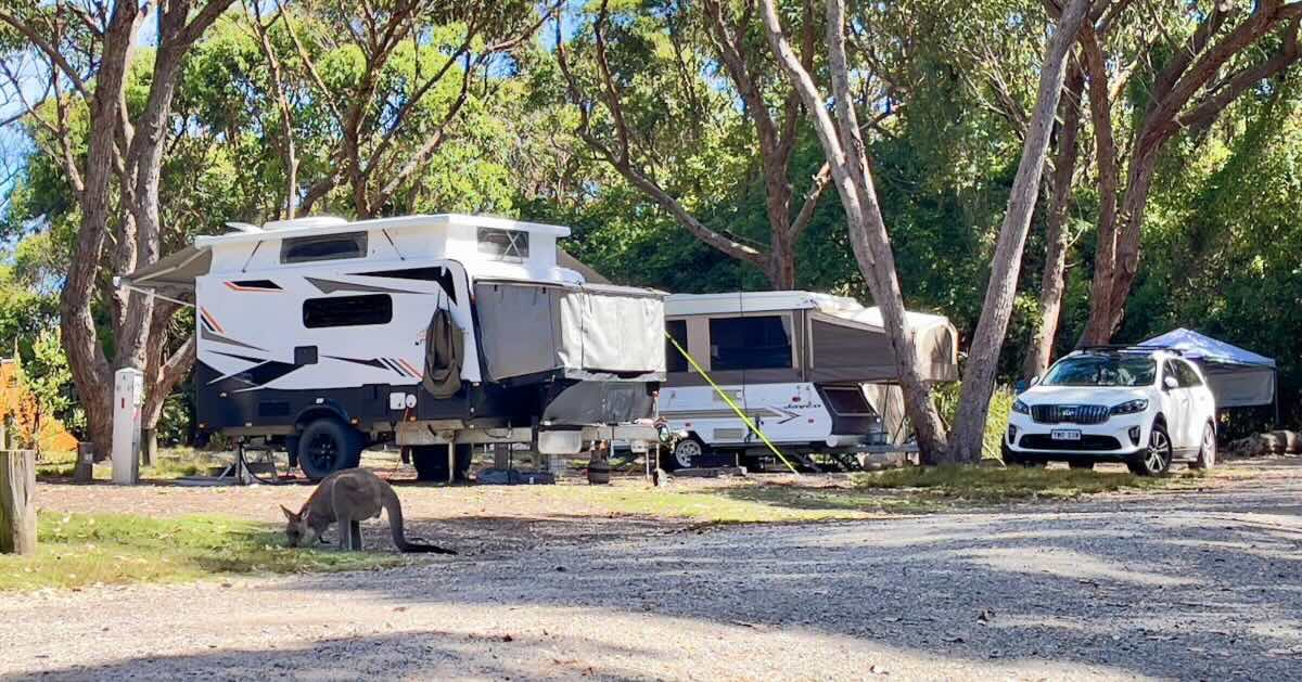 Pretty Beach campground - Murramarang National Park