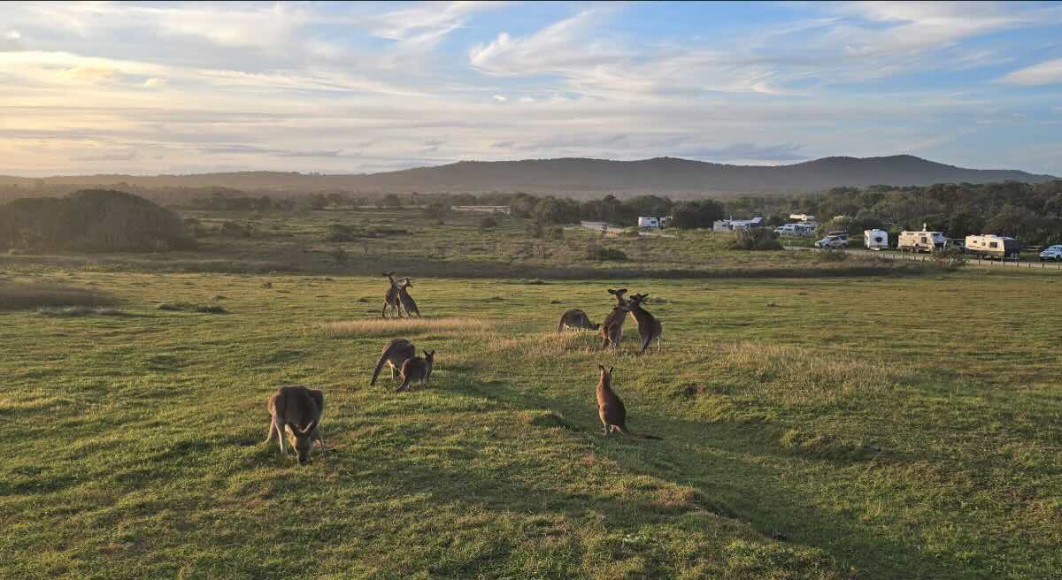 Red Cliff Grey Cliff Camping Ground
