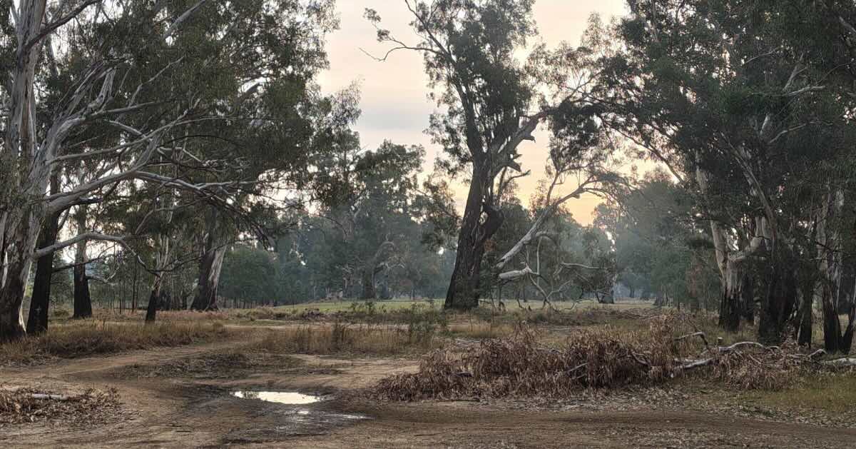 Shanty Reserve