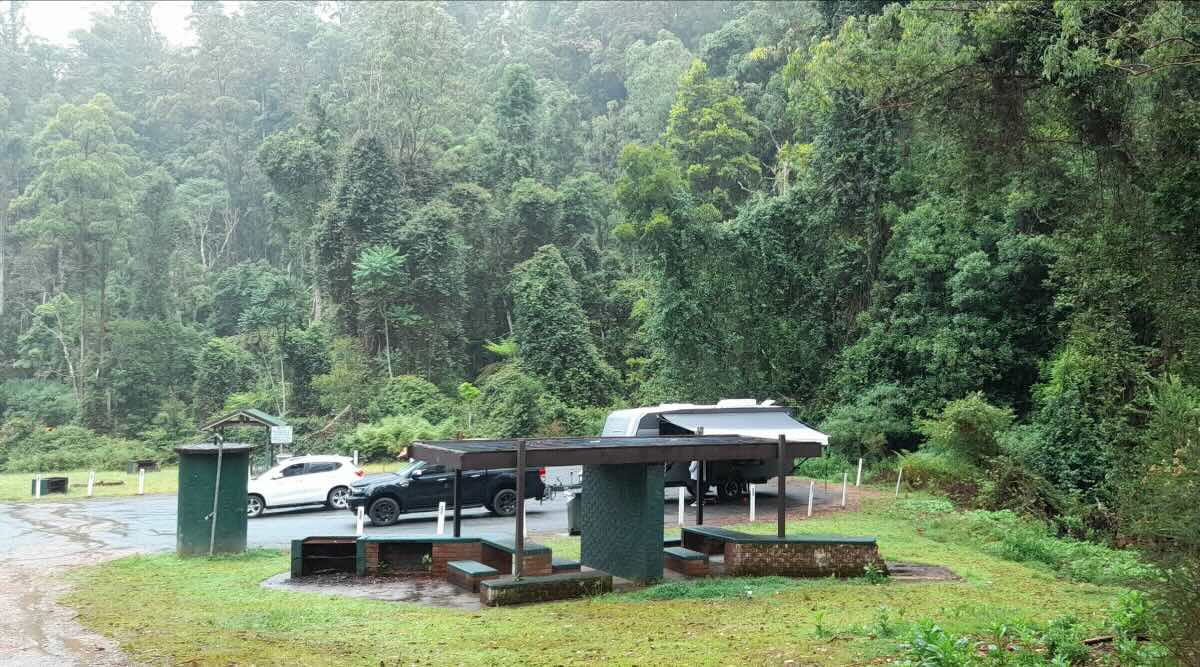 Stockyard Creek Rest Area, Doyles River NSW