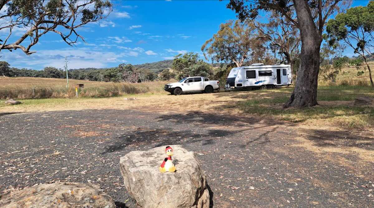 The Black Stump Rest Area, Coolah NSW