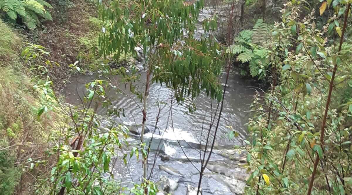 Traralgon Campsite 3 (Mount Tassie) VIC, Free Bush Camping & Lookout Guide