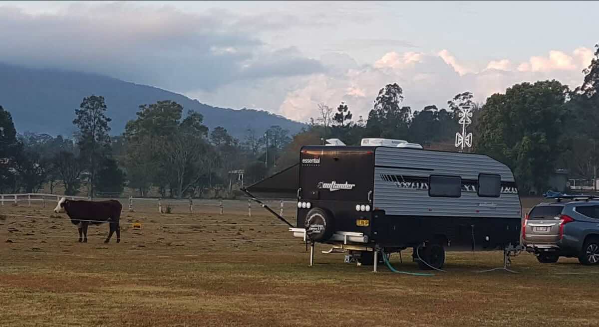 Tyalgum Showgrounds - Camping