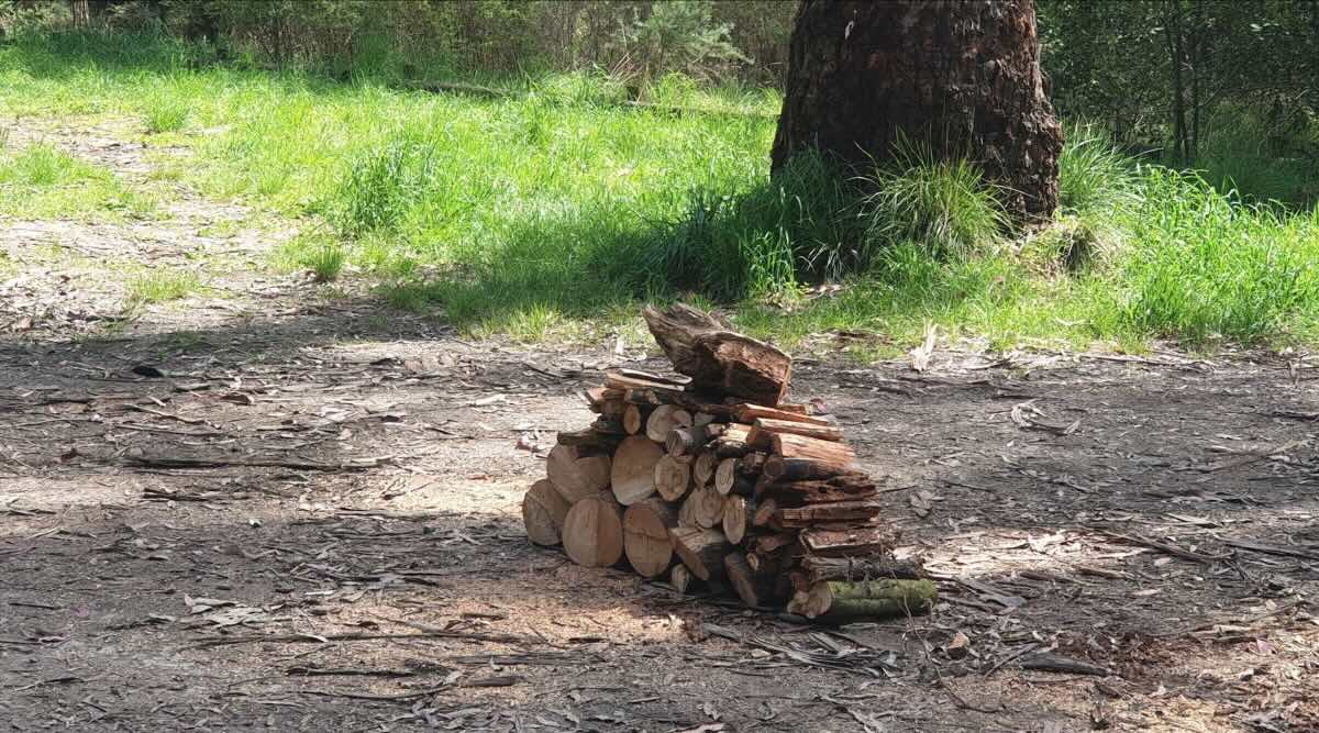 Vennells Camping Ground – Free Riverside Camping Big River State Forest