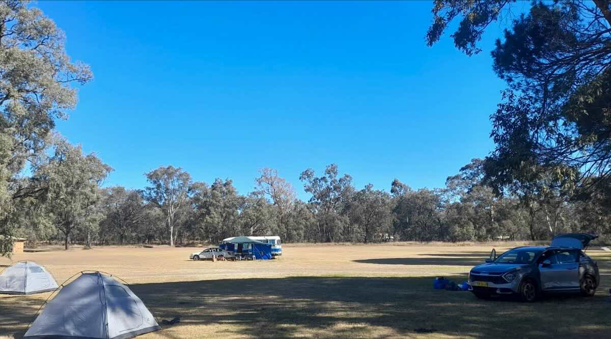 Warkworth Rest Area, Warkworth NSW