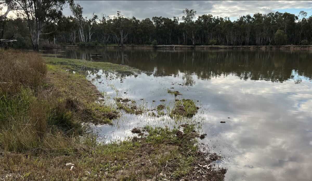 Cabrooga Beach (Cobram Regional Park) – A Hidden Riverfront Gem in Cobram