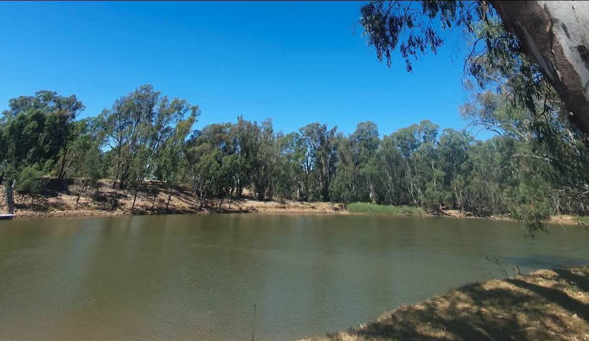 Davis Beach (Tocumwal Regional Park) – serene Bush Camping on the Murray River