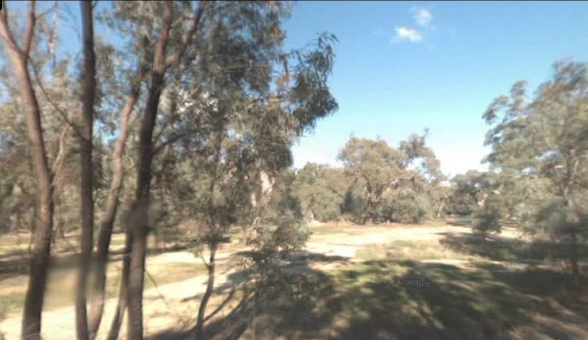 Pianta Road Camp Grounds (Pianta Bend) – A Tranquil Bush Escape West of Echuca