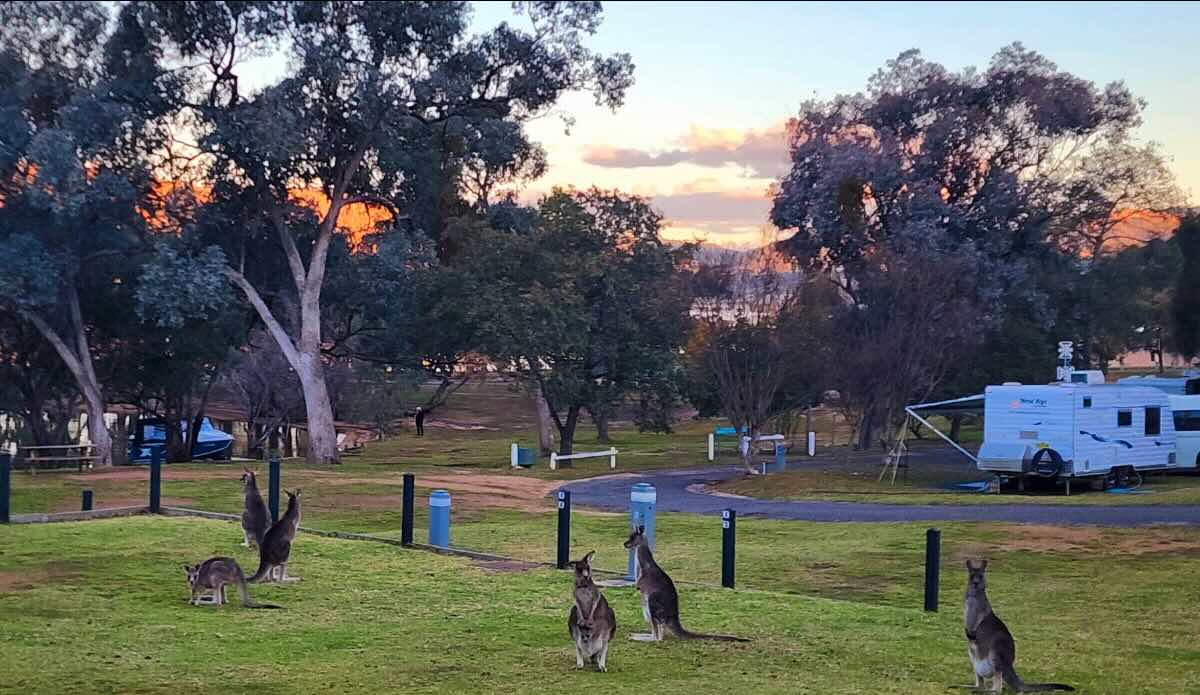 Reflections Wyangala Waters