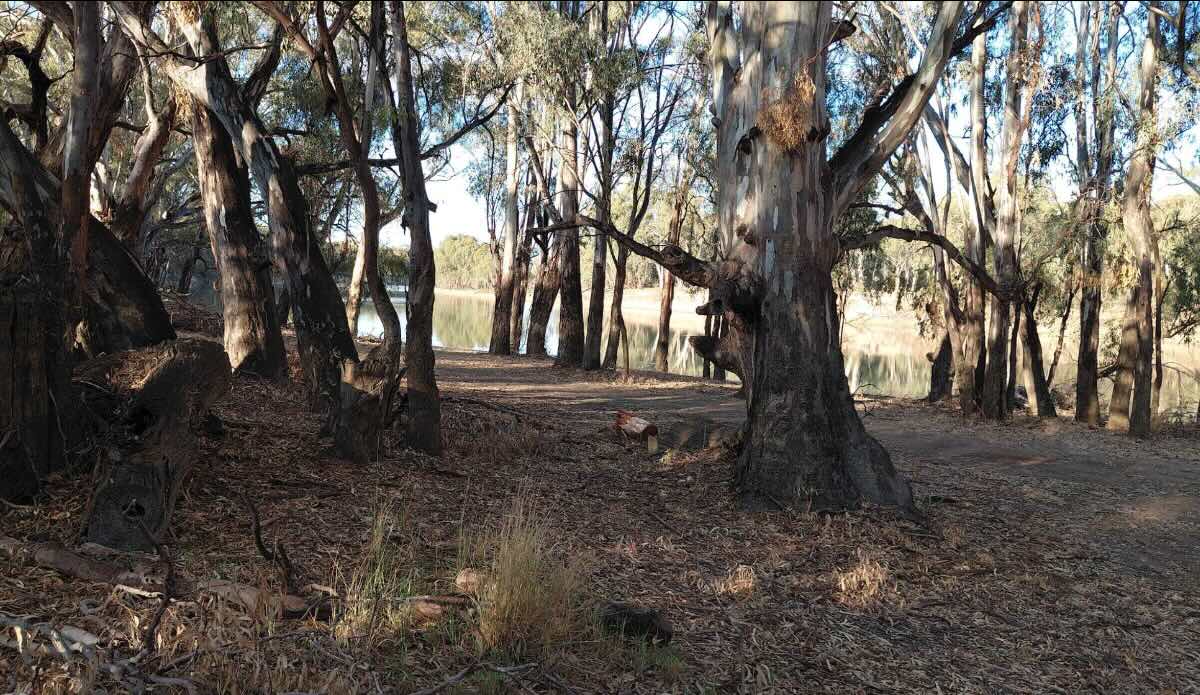 Jim’s Camp – Experience the Serenity of the Murray Mallee