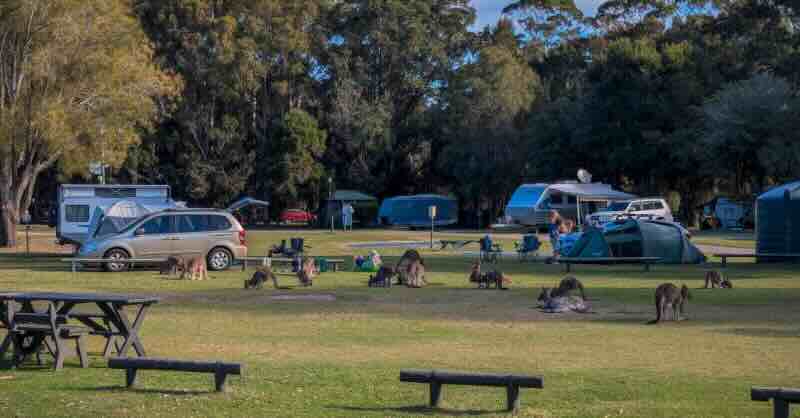 NRMA Murramarang Beachfront Holiday Resort